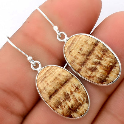 Natural Brown Aragonite Earrings E-1001 SDE87888