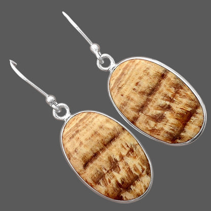 Natural Brown Aragonite Earrings E-1001 SDE87888