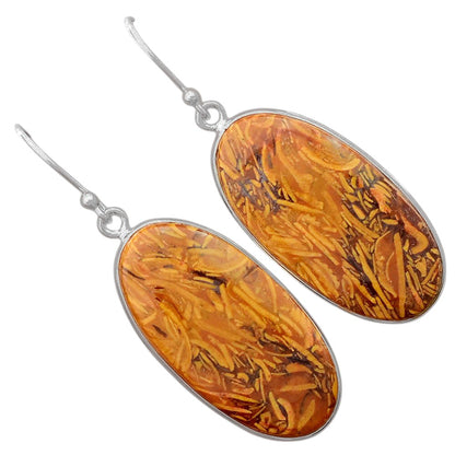 Natural Coquina Fossil Jasper India Earrings E-1001 SDE87892