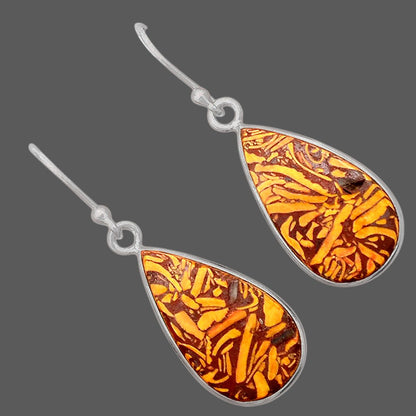 Natural Coquina Fossil Jasper India Earrings E-1001 SDE87895