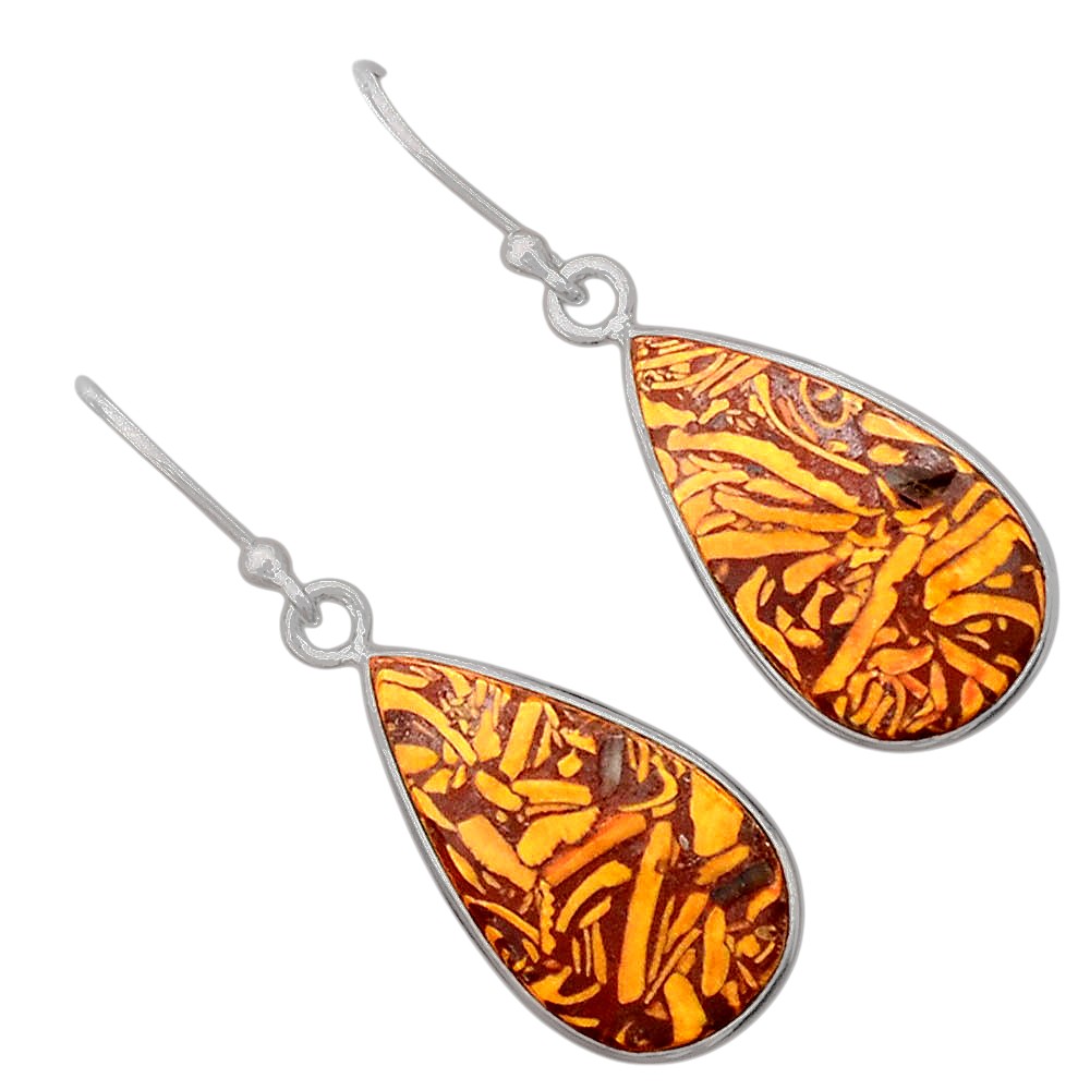 Natural Coquina Fossil Jasper India Earrings E-1001 SDE87895