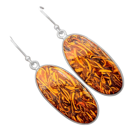 Natural Coquina Fossil Jasper India Earrings E-1001 SDE87899