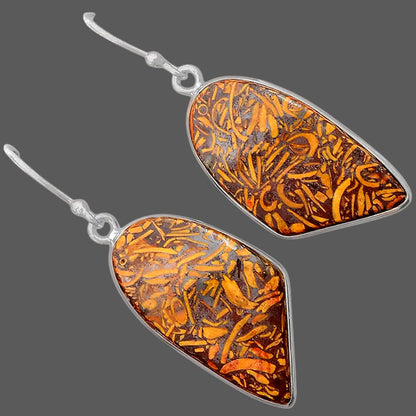Natural Coquina Fossil Jasper India Earrings E-1001 SDE87900