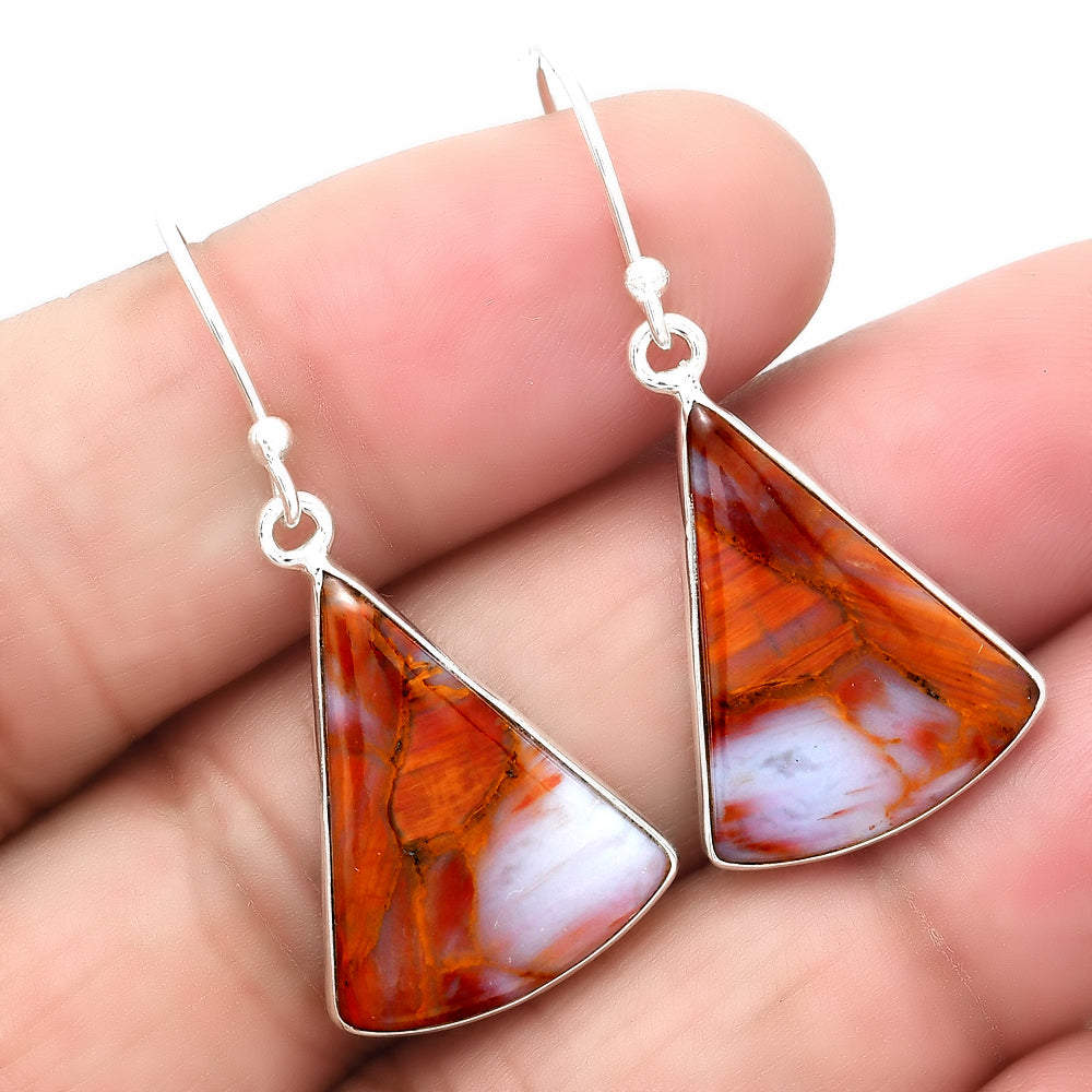 Natural Pietersite Earrings E-1001 SDE87948