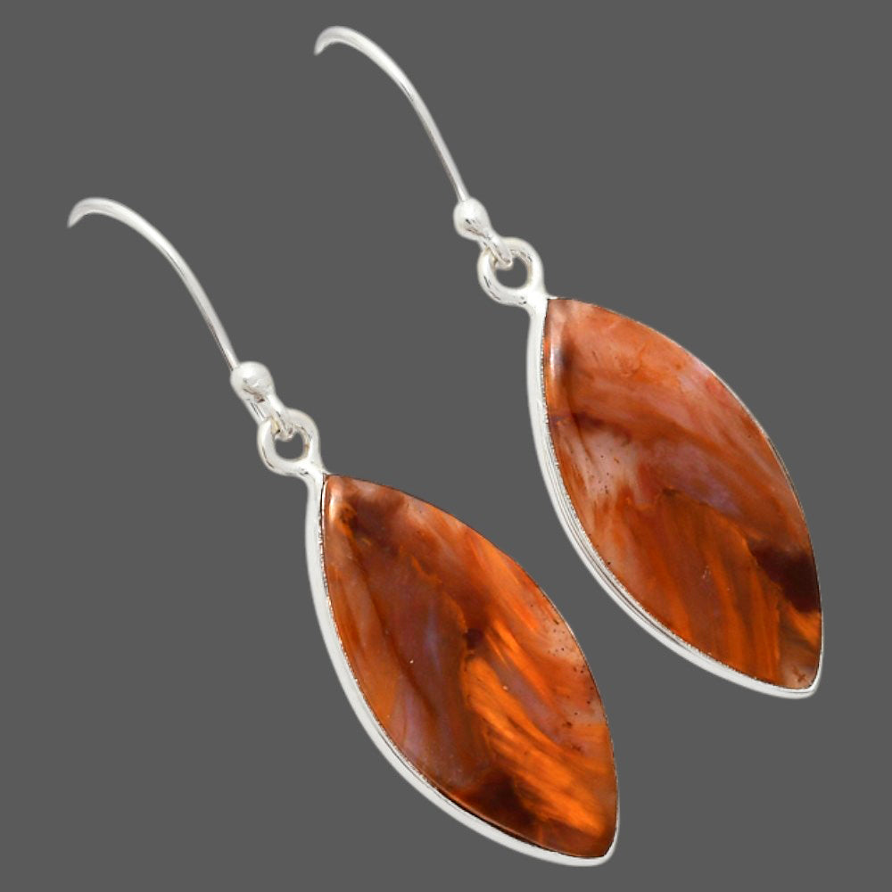 Natural Pietersite Earrings E-1001 SDE87960