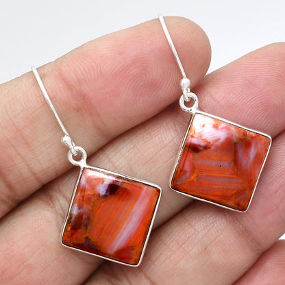 Natural Pietersite Earrings E-1001 SDE87965