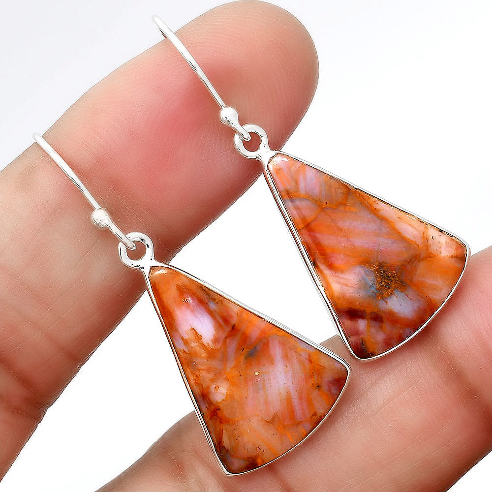 Natural Pietersite Earrings E-1001 SDE87971
