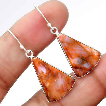 Natural Pietersite Earrings E-1001 SDE87971