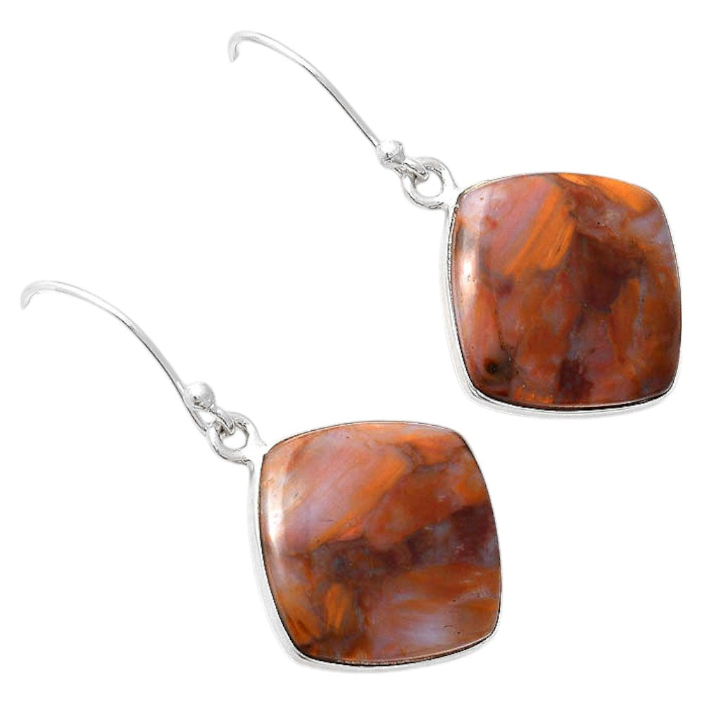 Natural Pietersite Earrings E-1001 SDE87975