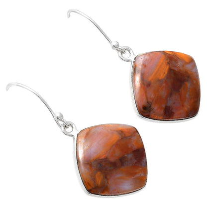 Natural Pietersite Earrings E-1001 SDE87975