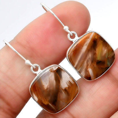 Natural Pietersite Earrings E-1001 SDE87981
