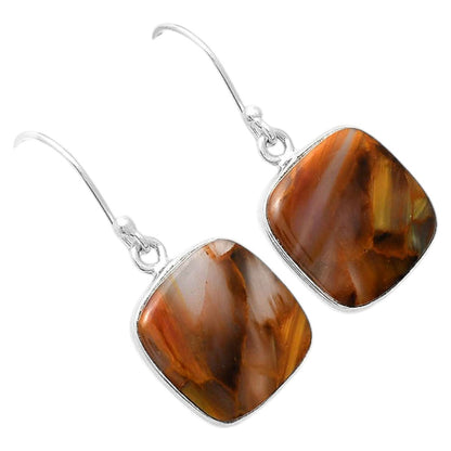 Natural Pietersite Earrings E-1001 SDE87981