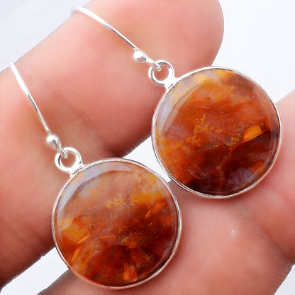 Natural Pietersite Earrings E-1001 SDE87986