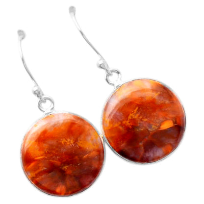 Natural Pietersite Earrings E-1001 SDE87986