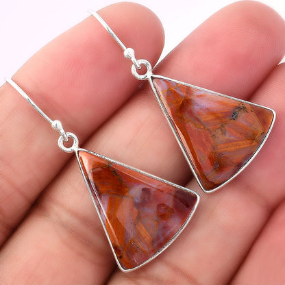 Natural Pietersite - Namibia Earrings E-1001 SDE88005