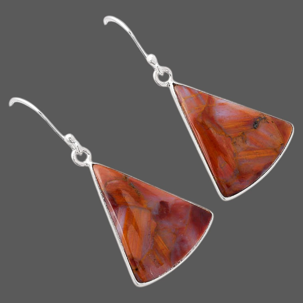 Natural Pietersite - Namibia Earrings E-1001 SDE88005