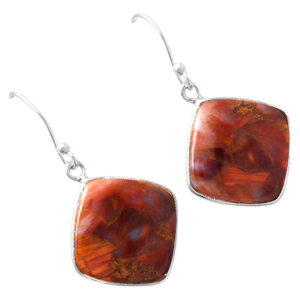 Natural Pietersite - Namibia Earrings E-1001 SDE88167