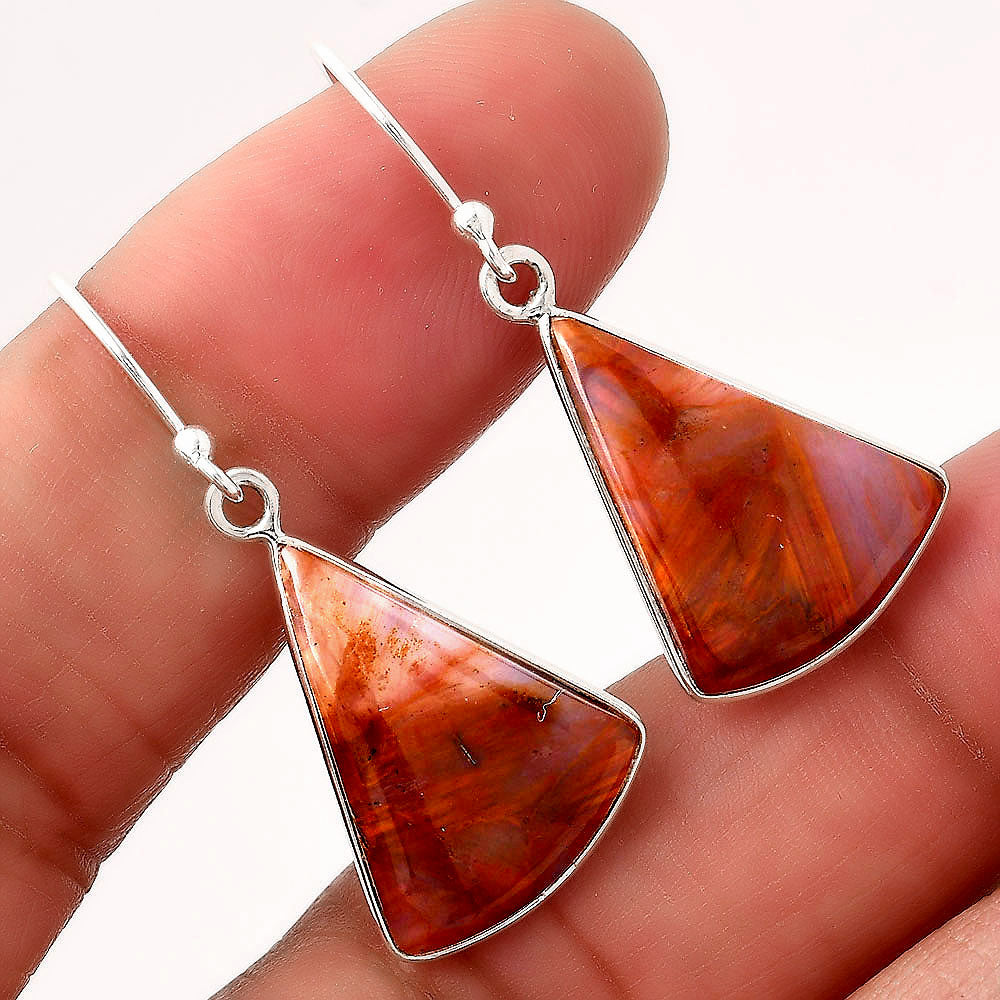 Natural Pietersite - Namibia Earrings E-1001 SDE88179