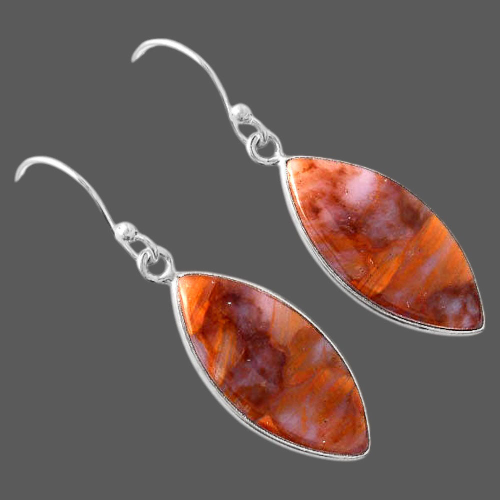 Natural Pietersite - Namibia Earrings E-1001 SDE88189