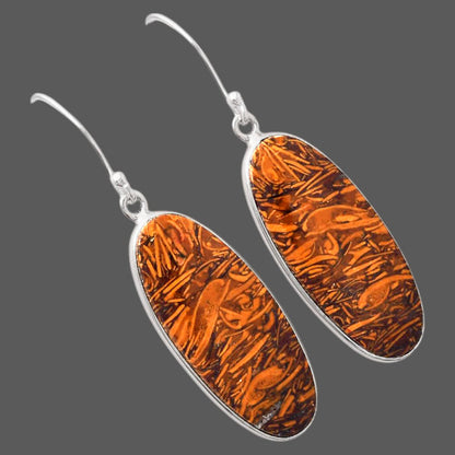 Natural Coquina Fossil Jasper India Earrings E-1001 SDE88218