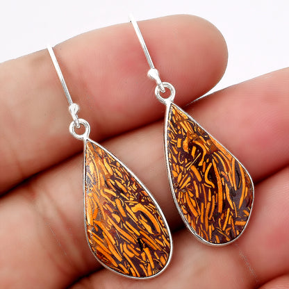 Natural Coquina Fossil Jasper India Earrings E-1001 SDE88230