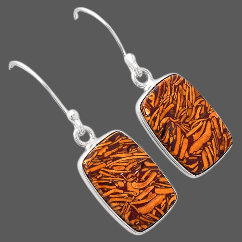 Natural Coquina Fossil Jasper India Earrings E-1001 SDE88232