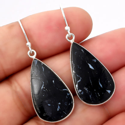 Natural Black Root Plume Agate Earrings E-1001 SDE88233