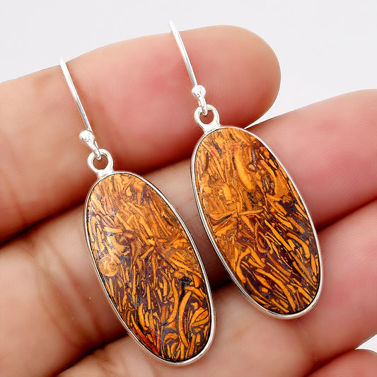 Natural Coquina Fossil Jasper India Earrings E-1001 SDE88234