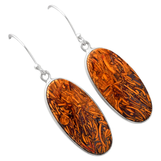 Natural Coquina Fossil Jasper India Earrings E-1001 SDE88234