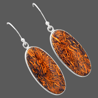 Natural Coquina Fossil Jasper India Earrings E-1001 SDE88236