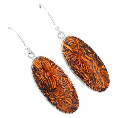 Natural Coquina Fossil Jasper India Earrings E-1001 SDE88236