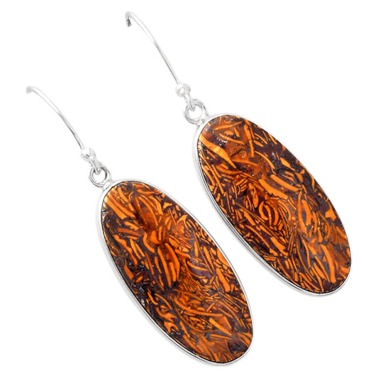 Natural Coquina Fossil Jasper India Earrings E-1001 SDE88236