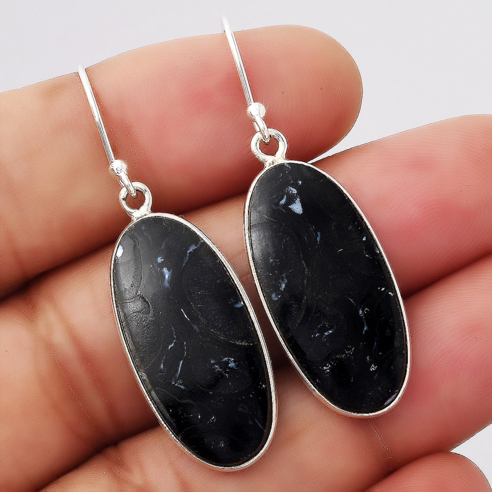Natural Black Root Plume Agate Earrings E-1001 SDE88243