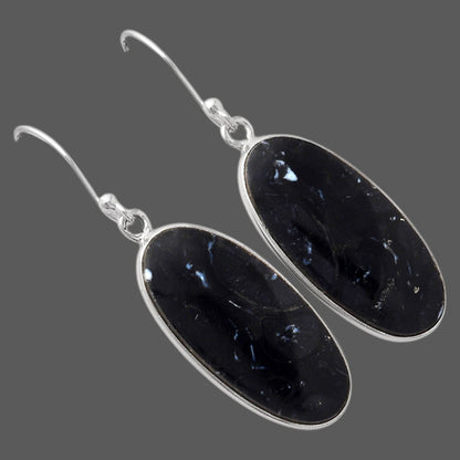 Natural Black Root Plume Agate Earrings E-1001 SDE88243