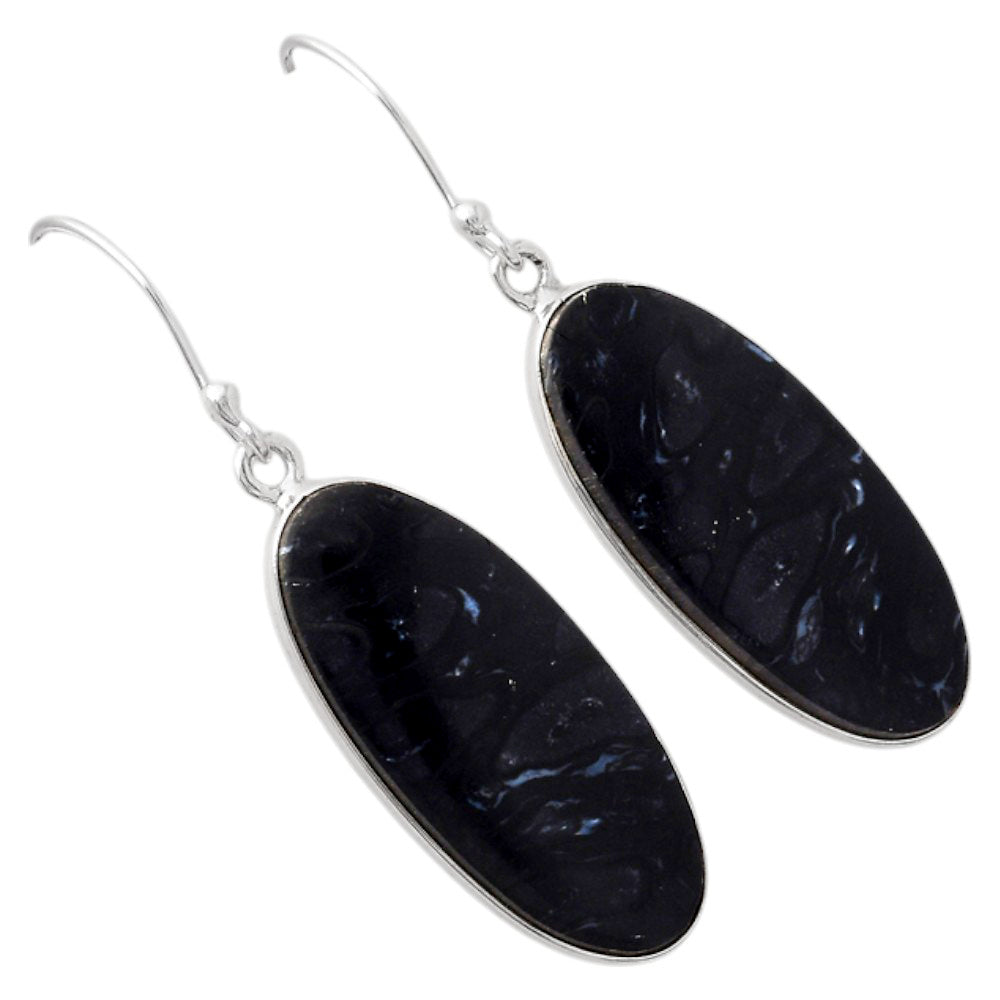 Natural Black Root Plume Agate Earrings E-1001 SDE88244