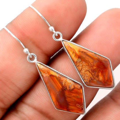 Natural Pietersite - Namibia Earrings E-1001 SDE88313