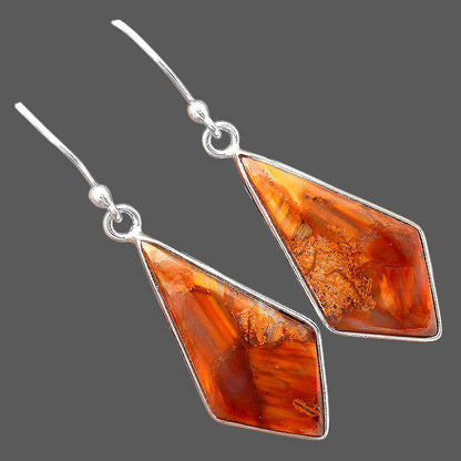 Natural Pietersite - Namibia Earrings E-1001 SDE88313