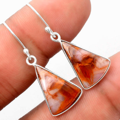 Natural Pietersite - Namibia Earrings E-1001 SDE88314