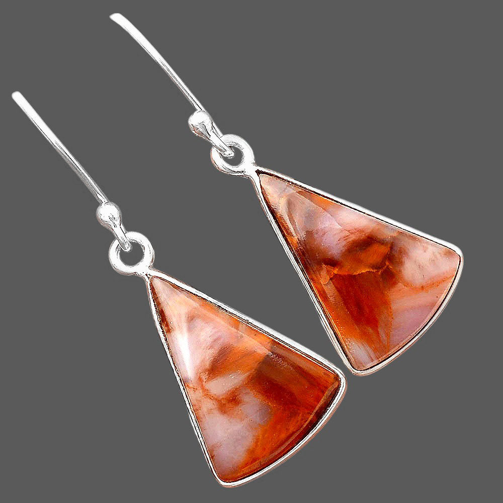 Natural Pietersite - Namibia Earrings E-1001 SDE88314