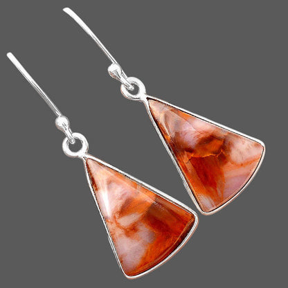 Natural Pietersite - Namibia Earrings E-1001 SDE88314