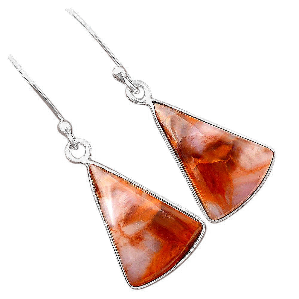 Natural Pietersite - Namibia Earrings E-1001 SDE88314