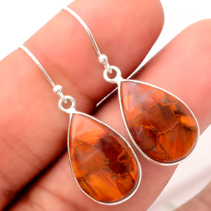 Natural Pietersite - Namibia Earrings E-1001 SDE88316