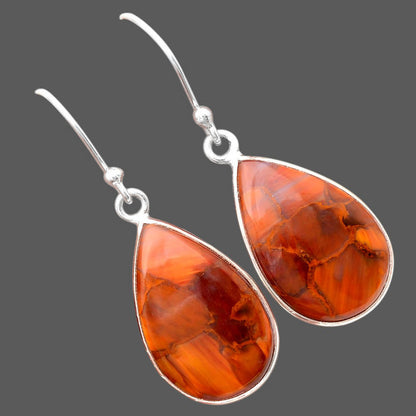 Natural Pietersite - Namibia Earrings E-1001 SDE88316