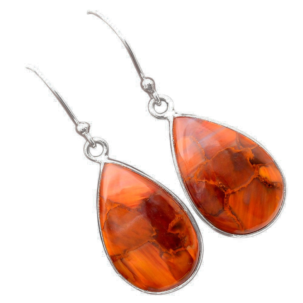 Natural Pietersite - Namibia Earrings E-1001 SDE88316
