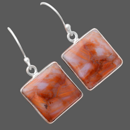 Natural Pietersite - Namibia Earrings E-1001 SDE88323