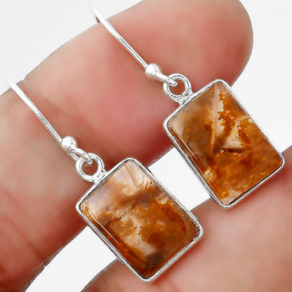 Natural Pietersite - Namibia Earrings E-1001 SDE88371