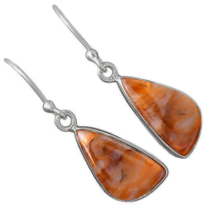 Natural Pietersite - Namibia Earrings E-1001 SDE88372