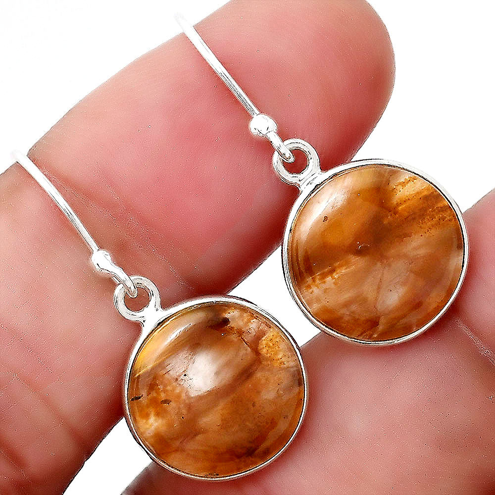 Natural Pietersite - Namibia Earrings E-1001 SDE88384