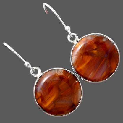 Natural Pietersite - Namibia Earrings E-1001 SDE88397