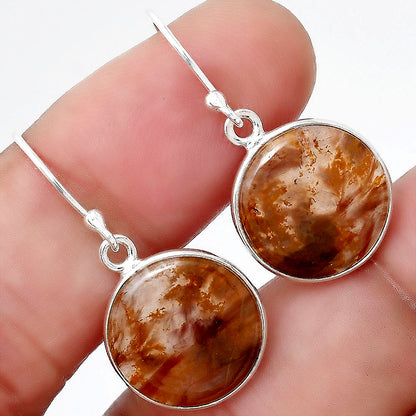 Natural Pietersite - Namibia Earrings E-1001 SDE88400